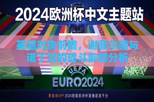 详细阅读:英超对决前瞻,谢菲尔德与诺丁汉的战斗前瞻分析 英超对决前瞻,谢菲尔德与诺丁汉的战斗前瞻分析