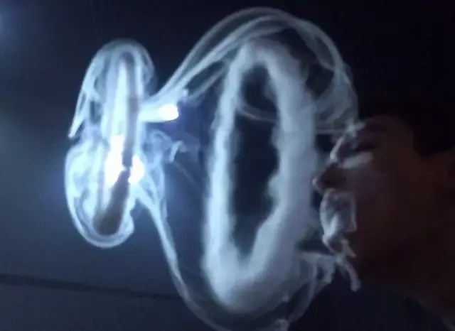 花式烟圈比赛冠军(花式烟圈用的什么烟)