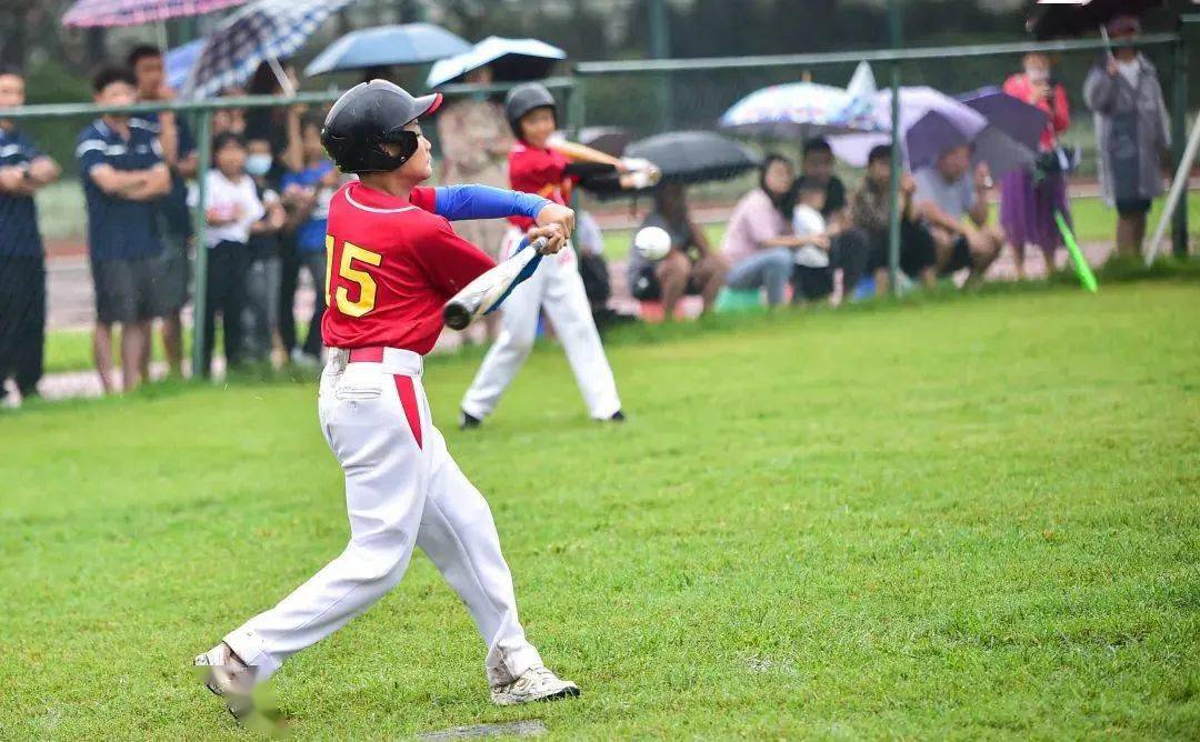 网棒球比赛视频(棒球网球区别图片)